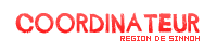 Coordinateur Sinnoh
