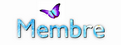 Membre