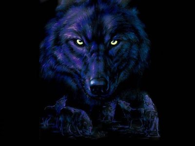 black wolves brotherhood Index du Forum