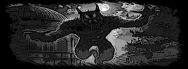 Black Wolf Index du Forum