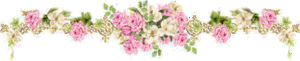 Vendredi 26 décembre - Saint Etienne..pardonnons Guirlandes-fleurs-roses-419e521