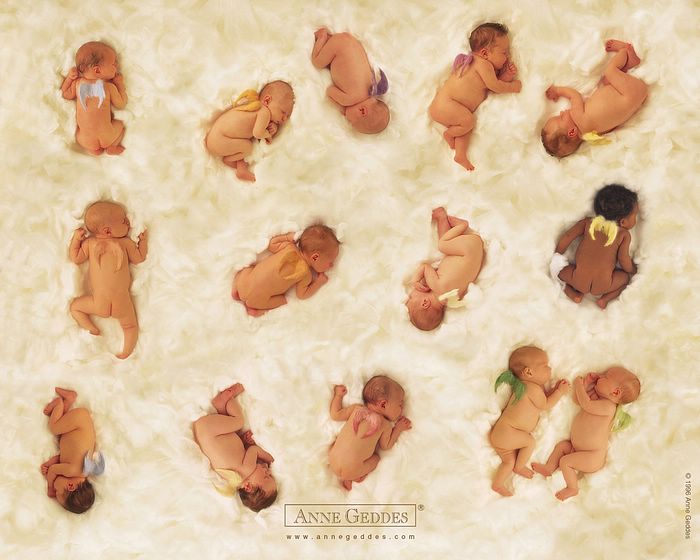 Les bébés du bonheur Index du Forum