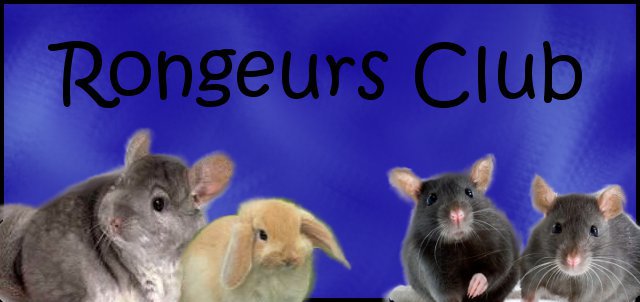 rongeurs-club Index du Forum