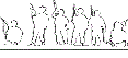 Other Team