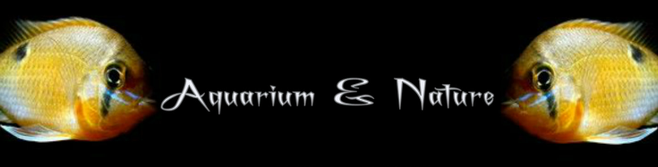 aquarium & nature Index du Forum