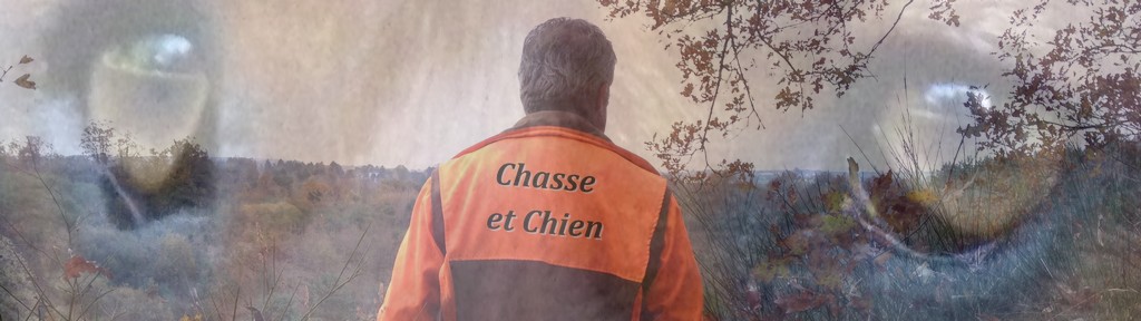 Le Forum Chasse et Chien Forum Index