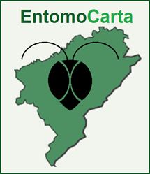 EntomoCarta Index du Forum