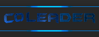 Co-Leader