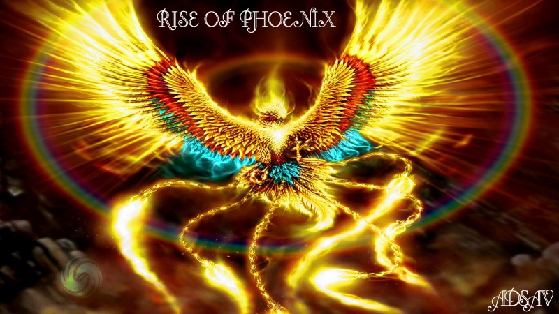 Rise of Phoenix Index du Forum