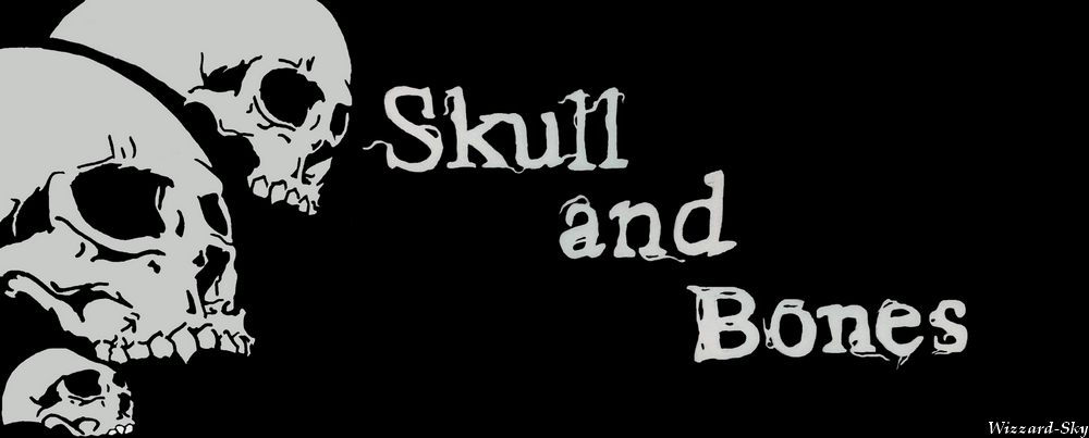 Skull and Bones serveur Aerafal Index du Forum