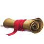 Diplomate