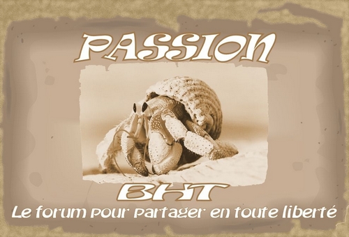 Index du Forum
