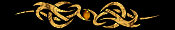 Maitre Dragon