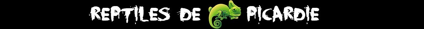 Reptiles de Picardie Forum Index