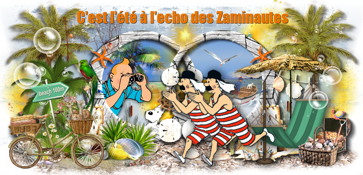 L'écho des zaminautes Index du Forum