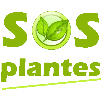 S.o.S Plantes Index du Forum