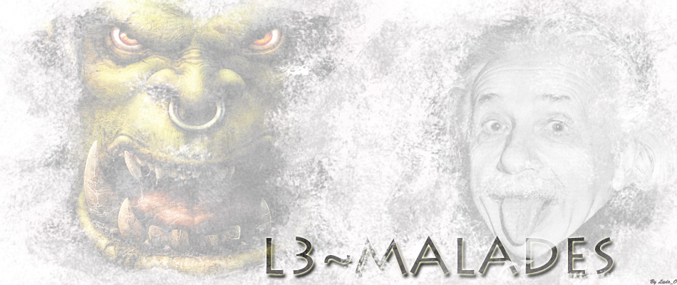 L3~MALADES - MAL3 Index du Forum