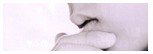 Pas de nouveaux messages