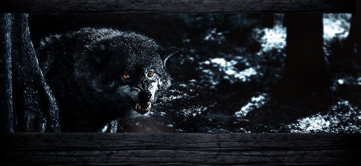 WoLf P4cK Index du Forum