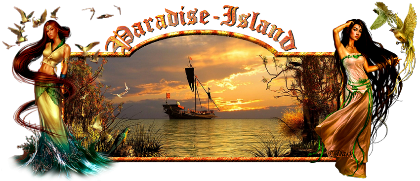 Paradise-Island Index du Forum