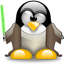 Jeune Padawan