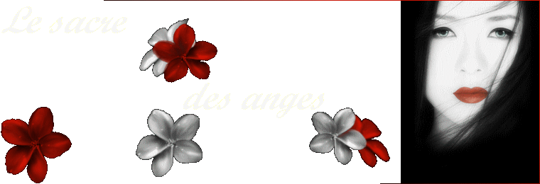 le sacre des anges Index du Forum