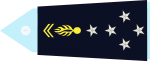 généraux de l'alliance