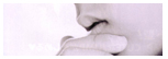 Pas de nouveaux messages Pas de nouveaux messages