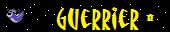 Guerriers Dragoniers (joueur*)
