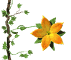 planter