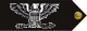 Colonel Colonel