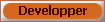 <font color=D2691E><b>Developper</b></font>