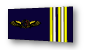 lieutenant-colonel