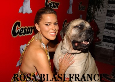 Rosa Blasi France Forum Index