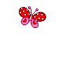coeur papillon