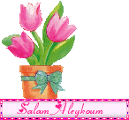 salam
