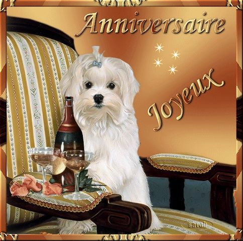 msg anniversaire de rencontre