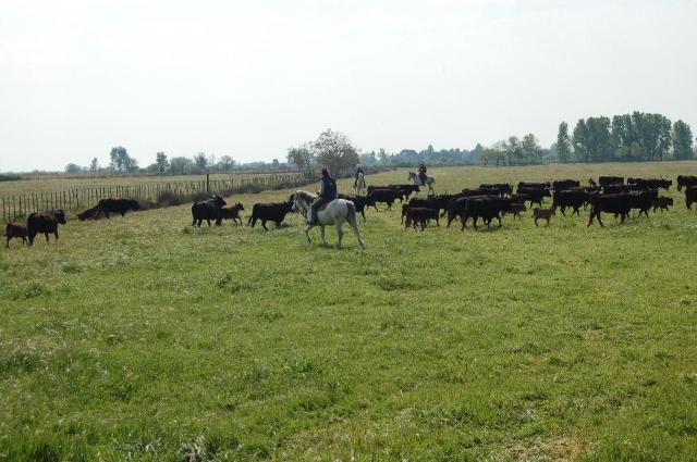 Site rencontre saintes