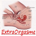 i doser sex i doser sex