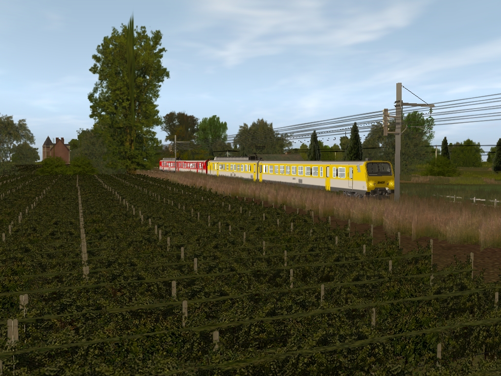 denis73_20120127_0015-30fac40.jpg