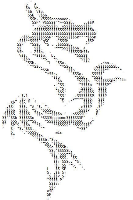 dirty ascii art text message