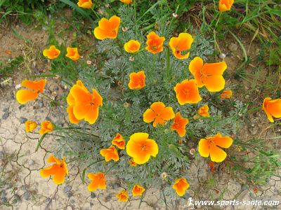 stress rencontre belle famille