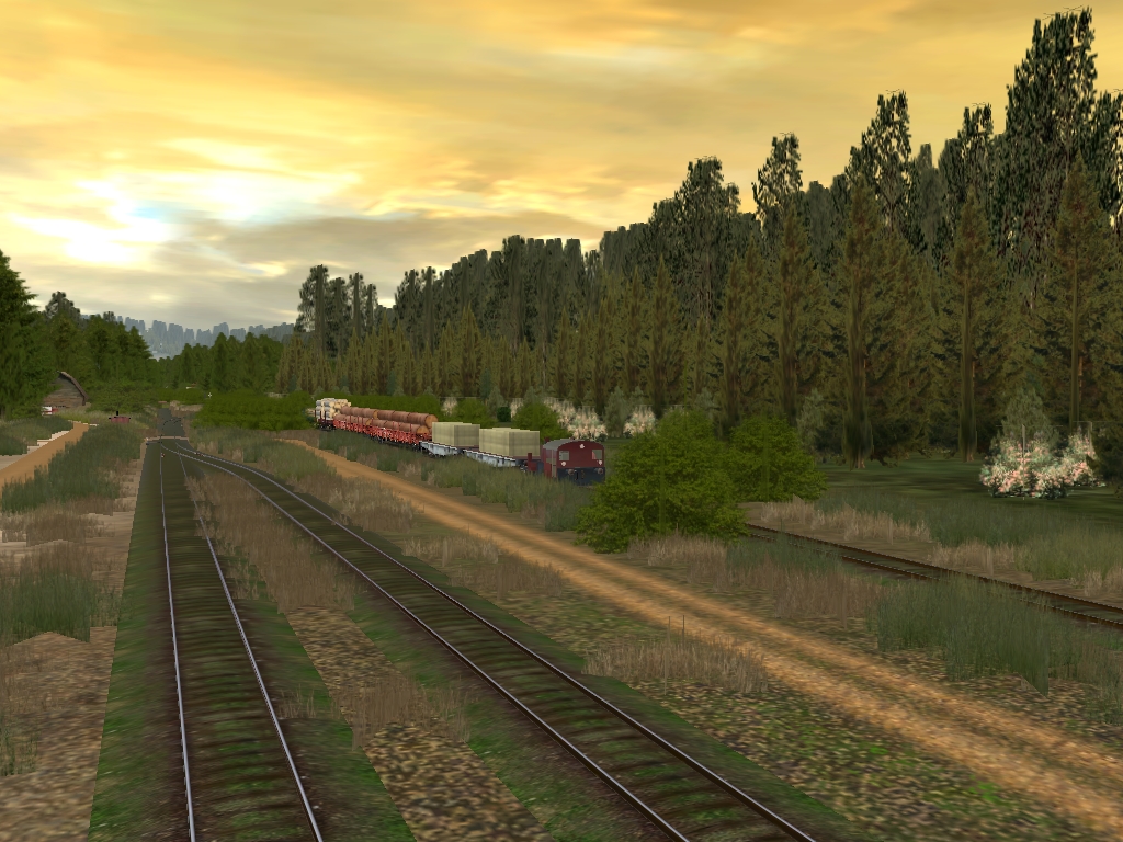 denis73_20111017_0027-2dd5f33.jpg