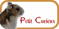 Petit Curieux