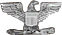 Colonel
