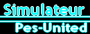 Simulateur
