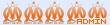 Administrateur