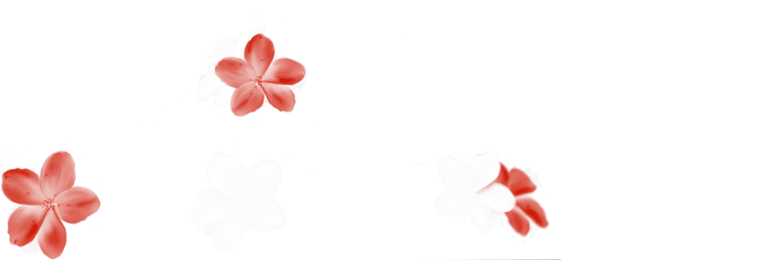 Alliance Flower Index du Forum