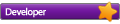 Développeur