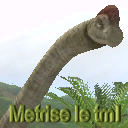 Metrise le tml